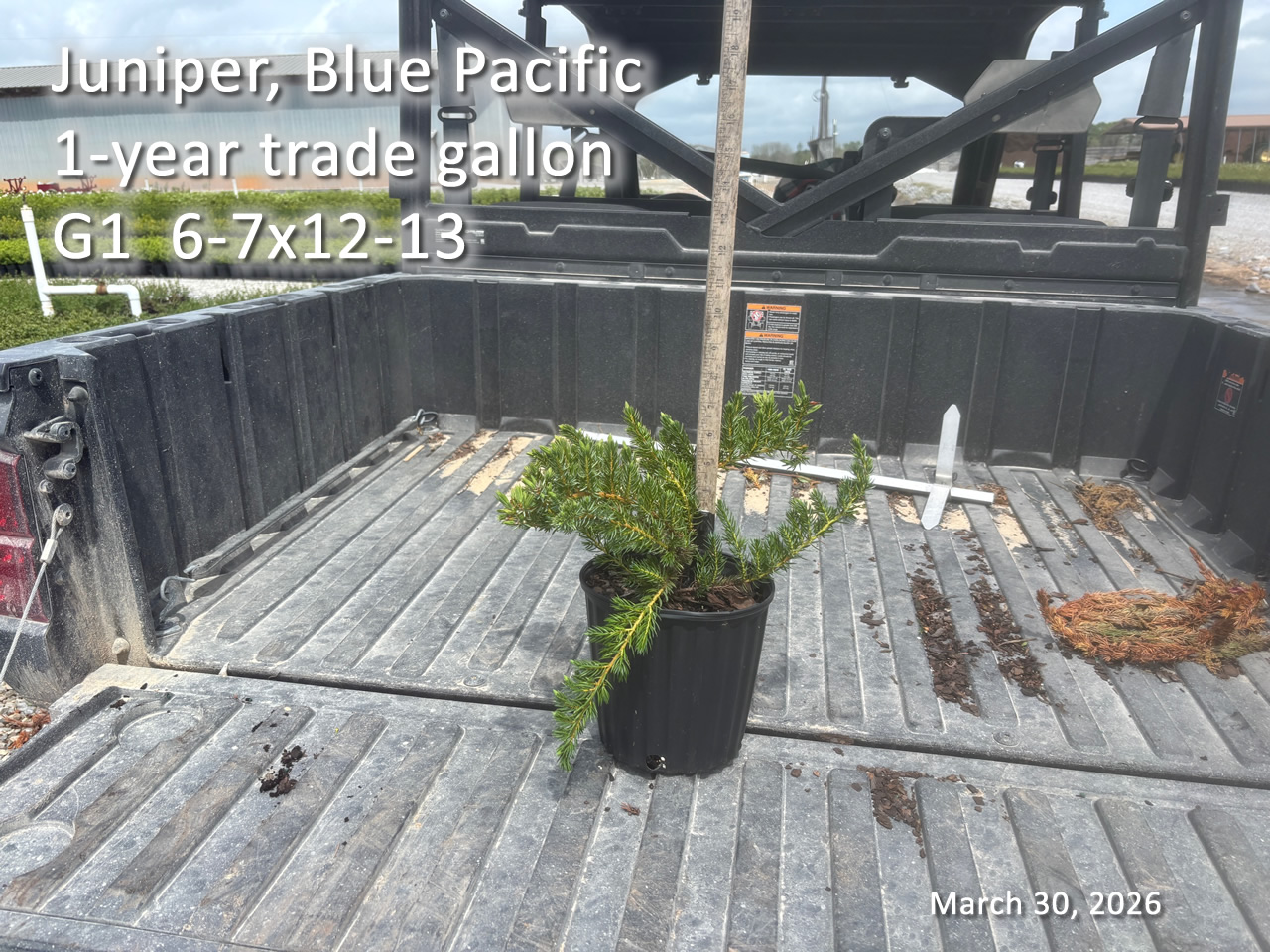 gallery/jbpac1yt g1 mar30.jpg